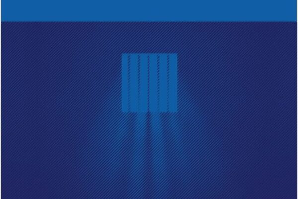 Front cover of Blueprint for Smart Justice New Mexico