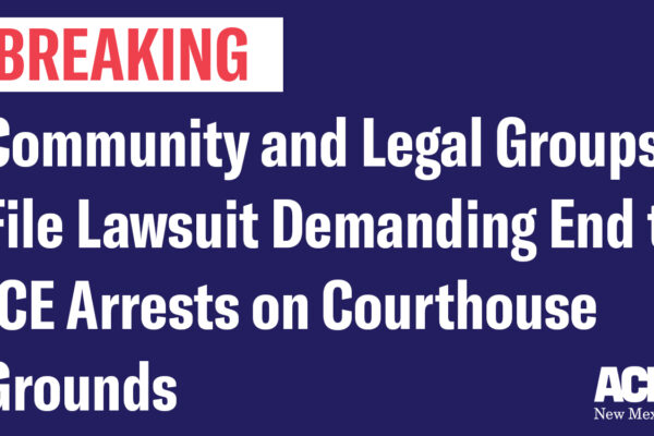 Community and Legal Groups File Lawsuit Demanding End to ICE Arrests on Courthouse Grounds