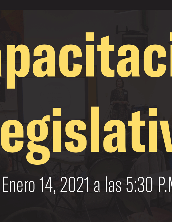 Capacitación Legislativa enero 14