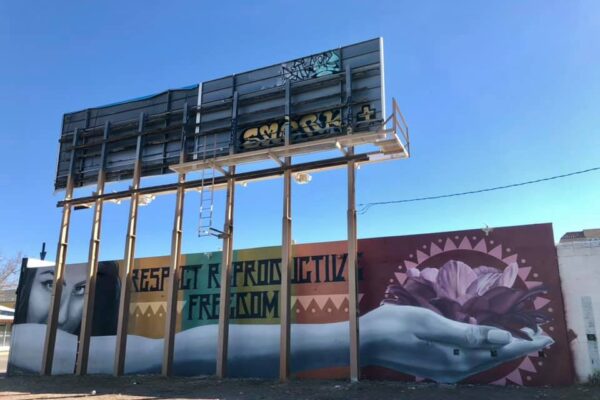 Image of mural featuring a woman holding a cactus blossom with caption "Respect Reproductive freedom"