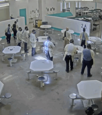 Screen shot of pepper-spraying incident at TCDF