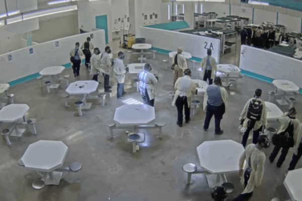 Screen shot of pepper-spraying incident at TCDF