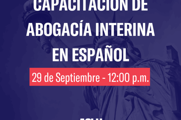 Capacitacion de abogacía interina en español