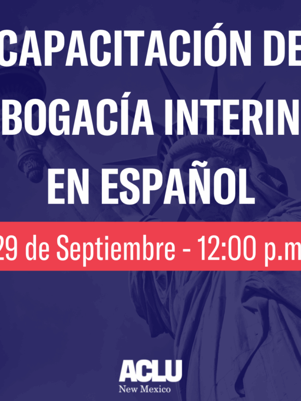 Capacitacion de abogacía interina en español
