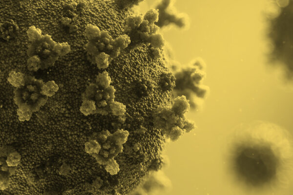 Lessons Learned: COVID-19 and Incarceration in New Mexico. Picture of Coronavirus.