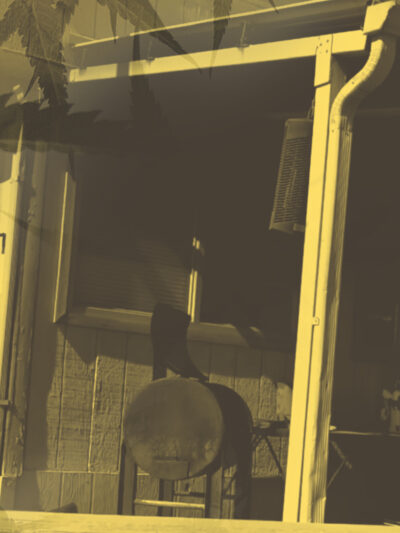 Interior Border Checkpoints Threaten New Mexico's Cannabis Equity Goals