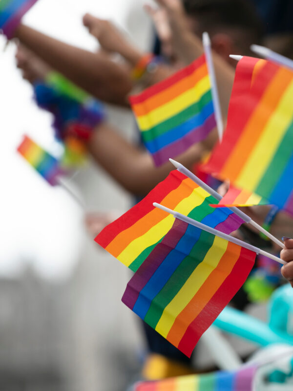 Rainbow flags held in a crowd