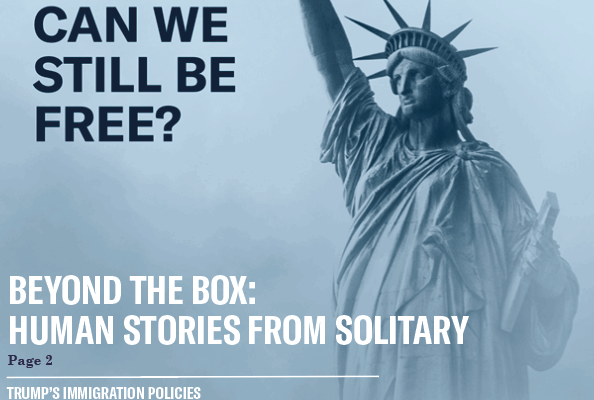 Torch Summer Cover 2025