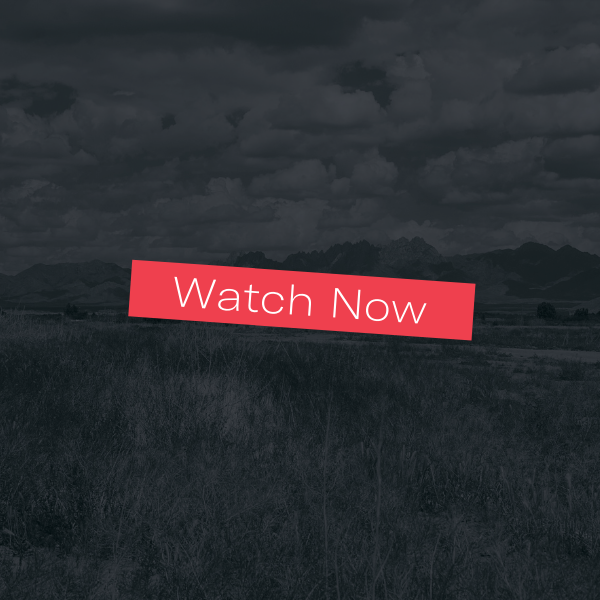 Watch Now