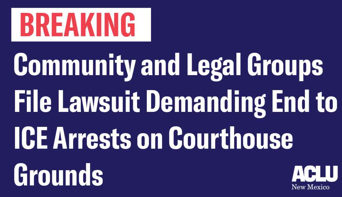 Community and Legal Groups File Lawsuit Demanding End to ICE Arrests on Courthouse Grounds