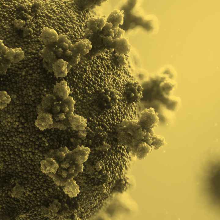 Lessons Learned: COVID-19 and Incarceration in New Mexico. Picture of Coronavirus.