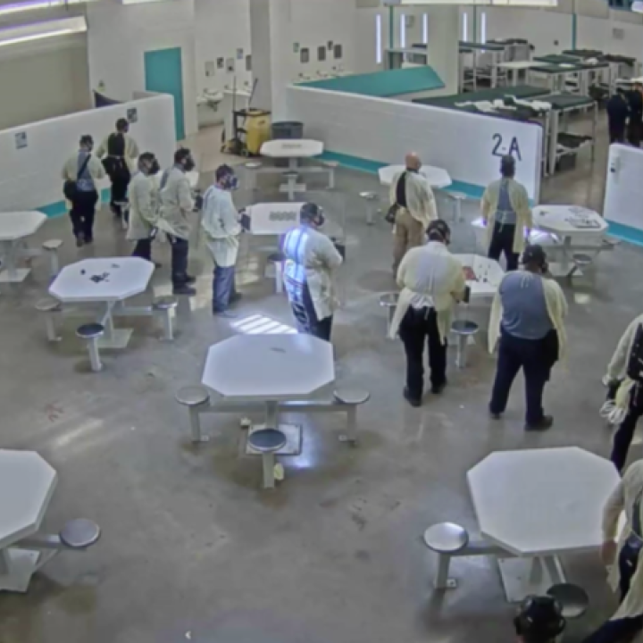 Screen shot of pepper-spraying incident at TCDF